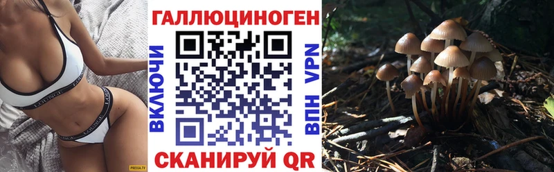 Псилоцибиновые грибы Psilocybine cubensis Губкин